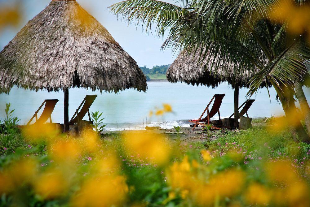 Iguana Lodge Beach Resort Puerto Jiménez Exterior foto