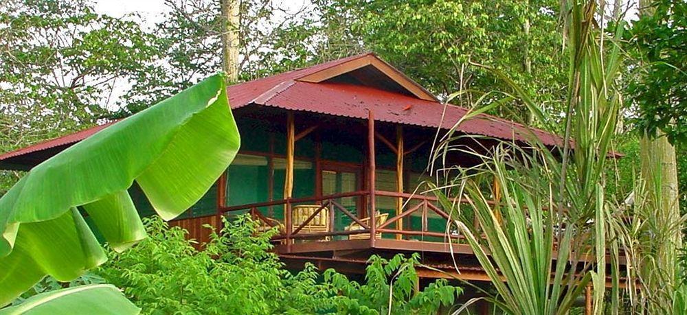 Iguana Lodge Beach Resort Puerto Jiménez Exterior foto